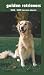 golden retriever - Golden Retrievers 2008 - 2009 Pocket Planner