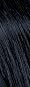 BB1 Bluest Black Semi-Perm Hair Color