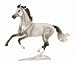 Ideal - Oldenburg Stallion