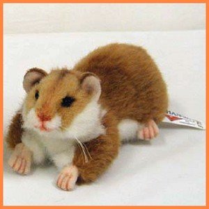 Stuffed Hamster