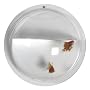 Boom Hemisphere Wall-Mount Fish Bowl, Clear