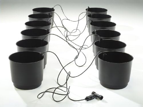 Eco Growing Systems, Eco 12 Pack Growing System (Discontinued by Manufacturer)