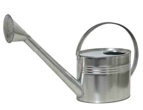 Siena Garden 395238 Gie&szlig;kanne mit Brause 7l verzinkt