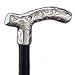 Silver (20+ microns) Luxury Walking Stick by Bridges
