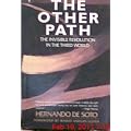 The Other Path: The Invisible Revolution in the Third World