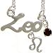 Leo Horoscope Zodiac Nameplate Necklace In Silver