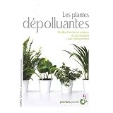 Les plantes d�polluantespar Ariane Boixi�re
