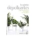 Les plantes d�polluantes