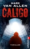 Caligo