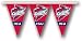 Iowa State Cyclones 25 Ft. Party Pennant Flags - NCAA