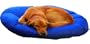 Large (8 Sheets) - Kleen Sheets Disposable Pet Bed and Upholstery Covers - Now $19.99
