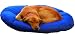 Pet Supplies : Large - Kleen Sheets Disposable Pet Bed and Upholstery Covers - Fits Beds and Cushions up to 44" - SPECIAL! Three - month supply!! Limited time.