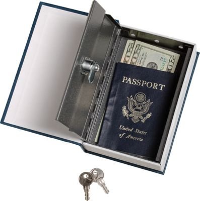 Dictionary Book Safe