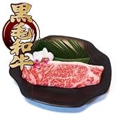 最高級黒毛和牛 宮崎・鹿児島県産 サーロインステーキ （ランクA5） 500g 黒毛和牛ギフト