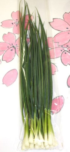 九州産の野菜　長崎県産　小ネギ　直売所販売用