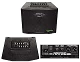 ARTEC A100TS ステレオアコースティックアンプ