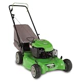 Lawn Boy 10640 20-Inch 6.75-Gross-Torque Briggs & Stratton Gas-Powered Push Lawn Mower