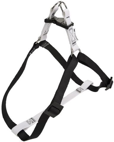 PACC Pets 75570901 Easy P Large 0.75 in. Dog Harness, White