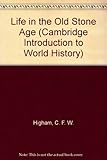 Life in the Old Stone Age