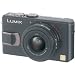 Panasonic DMC-LX2K 10.2MP Digital Camera with 4x Optical Image Stabilized Zoom (Black)