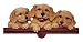 golden_retriever19golden retriever - Golden Retriever Calendar Hanger