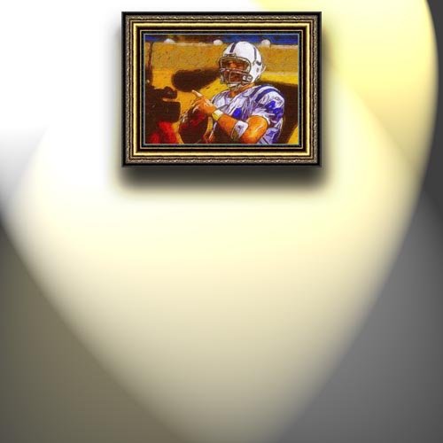 Completely Handpainted American Football Sport Painting, Custom Order FL2754, Oil on Canvas, with Option to Paint Jerry, Brett & Co. from Any Other Favorite Photograph or Picture, Unframed, Size 17'' x 24