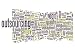 Wallmonkeys Peel and Stick Wall Decals - Word Cloud outsourcing - Removable Graphic