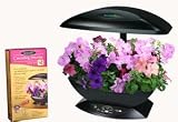 AeroGarden Cascading Petunia Seed Kit