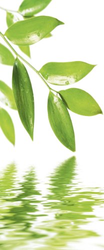 Deco Home - Decorative Room Divider, Fresh Green Leaves, 3-Feet 3-Inch by 7-Feet 10-Inch