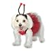 Pet Supplies : LadyBug Pet Dog Tutu Halloween Pageant Dress 2pcs S