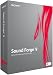 Sony Sound Forge 9 (PC)