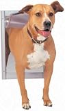 Petsafe Classic Pet Door - Large, Satin