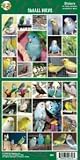Pet Qwerks S64 Small Birds Sticker