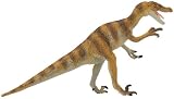 Velociraptor (The Carnegie Collection)