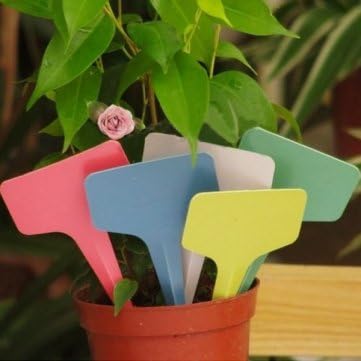 UR Garden Tools 100pcs 6x3CM Gardening Plastic Plant Flower T-type Tags Marker Labels