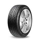 BF Goodrich g-Force SuperSport A S 205 55R16 91W (21997) by BF Goodrich