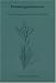Potamogetonaceae (Flora Neotropica, Monograph No. 85)