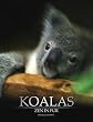 Koalas: Zen in Fur