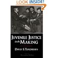 Juvenile Justice in the Making (Studies in Crime and Public Policy) by David S. Tanenhaus and Bernardine Dohrn