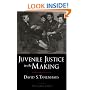 Juvenile Justice in the Making (Studies in Crime and Public Policy)