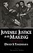 Juvenile Justice in the Making (Studies in Crime and Public Policy)