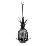 Pineapple Bird Feeder