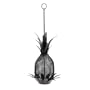 Pineapple Bird Feeder