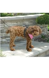 Harness - Pink / X-Small