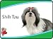 LittleGifts Shih Tzu Keychain