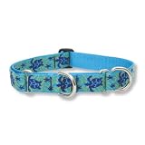 Lupine Large Martingale Style Dog Collar - Turtle Reef 19-27