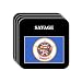 US State Flag - SAVAGE, Minnesota (MN) Set of 4 Mini-Mousepad Coasters