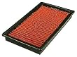 FRAM PPA4309 Air Hog Panel Filter