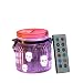 CANDLE CHOICE Mason Jar Light Indoor Outdoor Jar Light Battery Operated Lantern with Remote and Timer Halloween Light, Skull