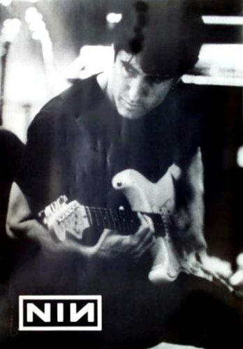 Nine Inch Nails (Trent Reznor, Guitar) Music Poster Print - 24